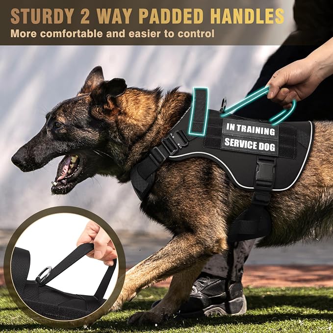 2X Metal Buckle Service Working MOLLE Dog Vest with 10 Pet Patches | Tactical Dog Harness for Large Dog, No-pull Military Working Vest for Training Hunting Walking，2x D Rings for Leash Clip - Image 4