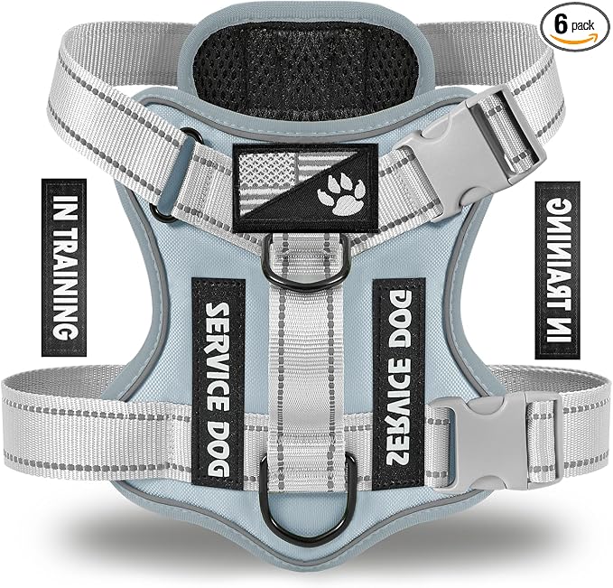 Service Dog Harness, Reflective Dog Vest Harness with 5 PCS Patches, Adjustable Soft Oxford Pet Harness, Inner Layer Mesh, Easy to Control for Small Medium Large Dogs by DemigreatLLC