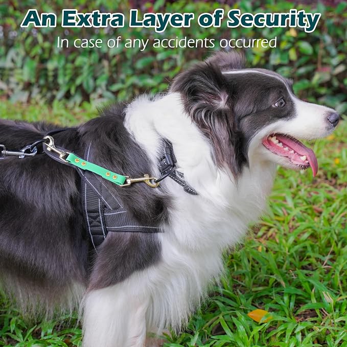 PetBonus Dog Collar Safety Clip, Waterproof Backup Safety Strap | Prong Collar to Harness Connector, Escape Proof, Odor Proof, Easy to Clean, Double Ended Clasp for Training, Mint Green - Image 4