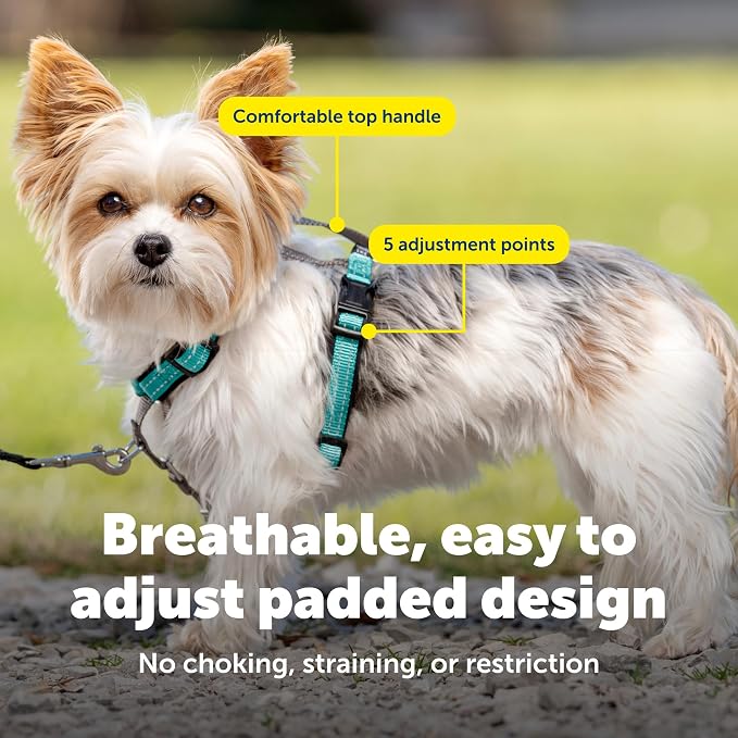 PetSafe Easy Walk 3 in 1 No Pull Dog Harness, Teal, Extra Small | Rests on Chest Not Throat to Reduce Pulling, 5 Adjustment Points, Car Restraint Seatbelt Loop, Reflective Nylon for Low Light - Image 5
