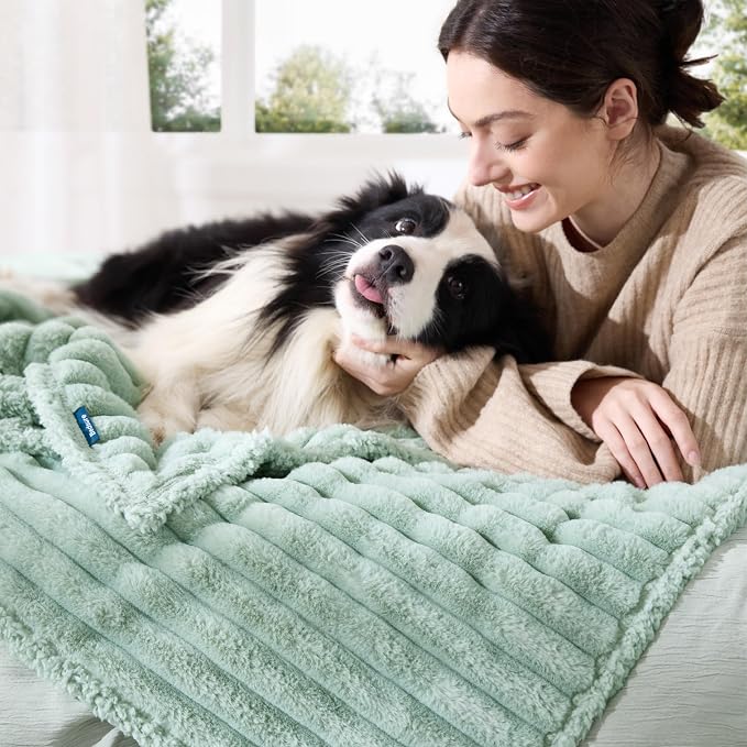 Bedsure ComfyFleece™ Waterproof Blanket for Bed, Twin（60"x80"） Garden Green | Soft Plush Couch Bed Cover Corduroy Fleece for Furniture Protector, Cozy Calming Reversible Dog Blankets for Large Dogs Pet - Image 7