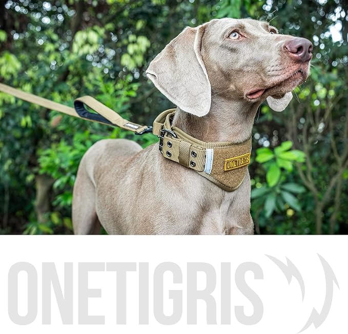 OneTigris No-Pull Dog Leash with Handle for Medium Large Dogs(Brown, 6FT) | Durable lead built for training & daily walks. Ideal drag line for strong pullers and large breeds like bully dogs. - Image 8