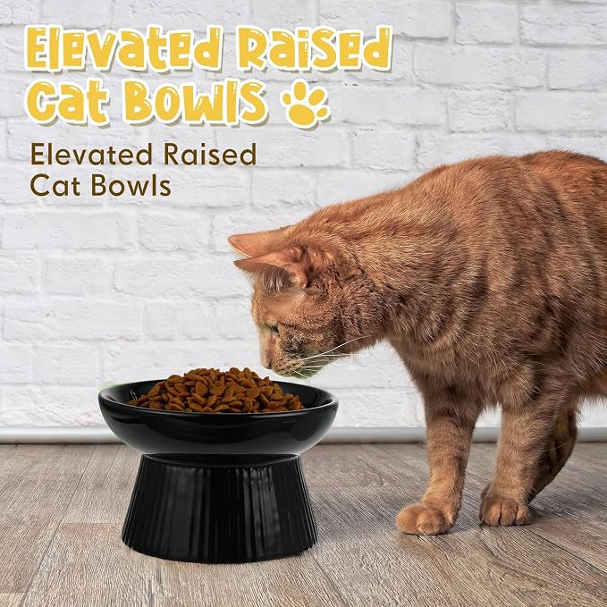 Tioncy 2 Pcs Ceramic Elevated Slow Feeder Cat Bowl, Raised Cat Slow Feeder Bowl, Anti Vomiting for Dry and Wet Food, No Spill High Edge Easy Clean Dishwasher Safe (Black,White) - Image 6