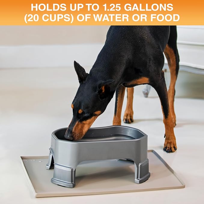 Neater Pet Brands Extra Large Water Bowl for Dogs, Elevated Outdoor Dog Water Bowl (1.25 Gallon XL Capacity), Big Trough Style Food Dish for Indoors or Outside, No Spill Large Dog Bowls, Gunmetal Grey - Image 2