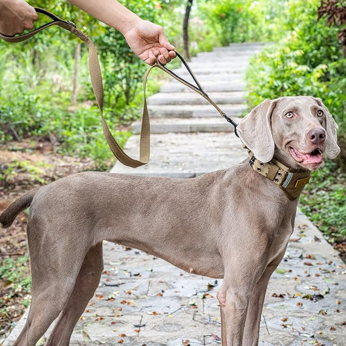 OneTigris No-Pull Dog Leash with Handle for Medium Large Dogs(Brown, 6FT) | Durable lead built for training & daily walks. Ideal drag line for strong pullers and large breeds like bully dogs. - Image 7