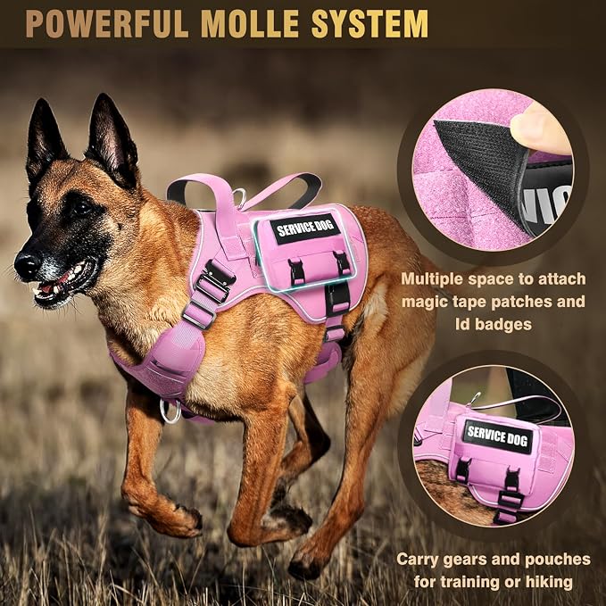 2X Metal Buckle Service Working MOLLE Dog Vest with 10 Pet Patches | Tactical Dog Harness for Large Dog, No-pull Military Working Vest for Training Hunting Walking，2x D Rings for Leash Clip - Image 4