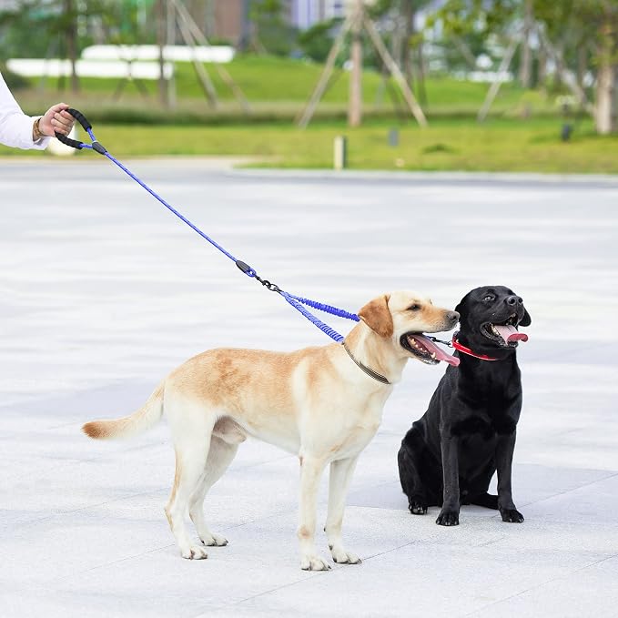 Double Dog Leash, 360° Swivel, No Tangle, Large, Royal Blue | Dual Leash for Two Dogs, Split Leash, Shock-Absorbing Bungee, Padded Handle, Heavy-Duty Rope - Image 6