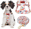 No Pull Dog Harness Adjustable Small Dog Harness and Leash Set, Lightweight and Soft Dog Harness No Choke Escape Proof Pet Harness Vest (Orange Rose, XS) by RosyLife
