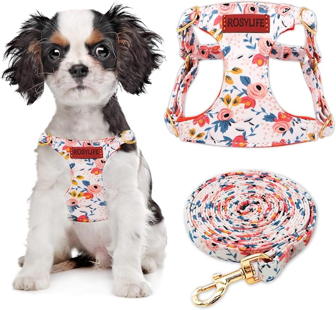 No Pull Dog Harness Adjustable Small Dog Harness and Leash Set, Lightweight and Soft Dog Harness No Choke Escape Proof Pet Harness Vest (Orange Rose, XS) by RosyLife
