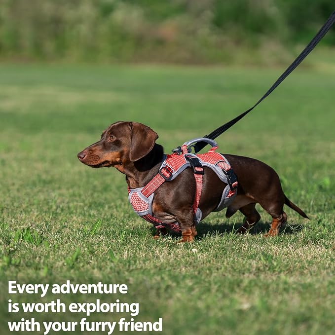 Escape Proof Dog Harness, Dachshund Harness, Reflective Dog Harness with Handle, Durable,Adjustable Vest for Small Medium Large Dogs Walking, Training, and Running Gear (Red,S) - Image 7
