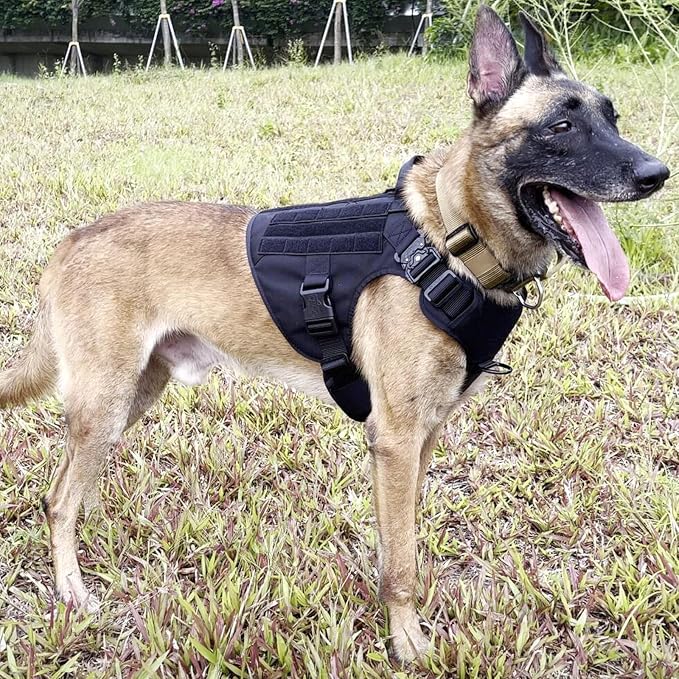 ICEFANG Tactical Dog Harness,for X-Large Dogs,Reflective No Pull Dog Vest | with Control Handle, Adjustable,Front Hook,2 Leash Clips,No Choke,Soft Padded,MOLLE Panel,Black,X-Large - Image 2