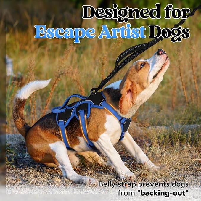 rabbitgoo Escape Proof Dog Harness for Small, No Pull with Lift Handle | No Escape, Full Soft Padded, Reflective Adjustable Vest, Leash Clip for Walking Hiking Training, Blue & Black, Small - Image 4
