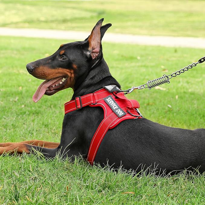 Service Dog Harness, Reflective Dog Vest Harness with 5 PCS Patches, Adjustable Soft Oxford Pet Harness, Inner Layer Mesh, Easy to Control for Dogs (All-RED, Small (Pack of 1)) - Image 6