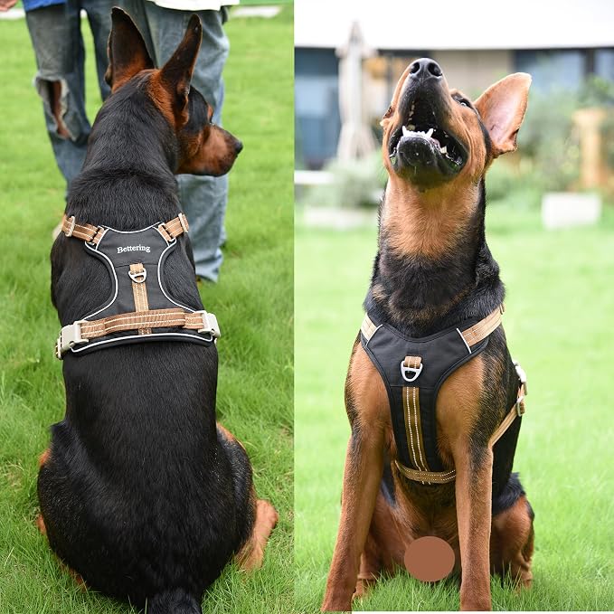 No Pull Reflective Dog Harness, 2 Zinc Alloy D-Rings Escape Proof Vest with Thickened Handle, Breathable 300D Polyester Mesh for Small Medium Large Dogs - Image 7