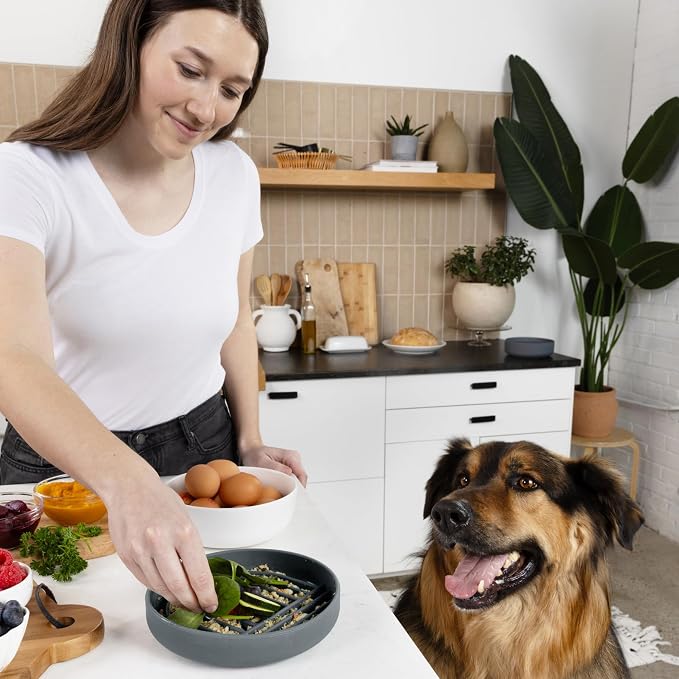 Should We Go? Slow Feeder Dog Bowls - Medium Size Silicone Slow Eating Dog Bowl for Puppies & Dogs with Suction Cup -Dishwasher-Safe,Lick Mat Design,Reduces Gulping,for All Breeds,7.5”x1.5”- Charcoal - Image 6