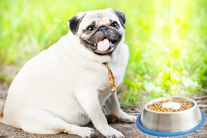Mr. Peanut's Stainless Steel Interactive Slow Feed Dog Bowl with a Blue Base, Fun Healthy Bloat Stop Feeder (Large) - Image 6