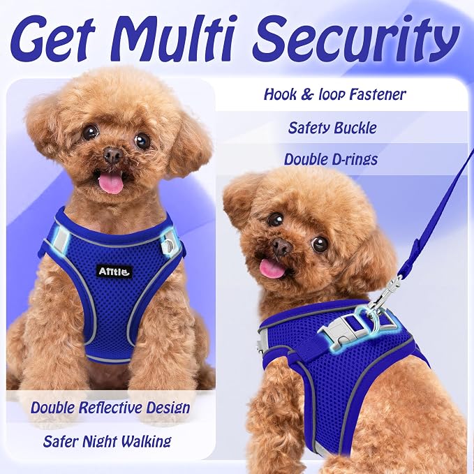 AIITLE Dog Harness and Leash Set, Step-in Puppy Pet Vest, Royal Blue XXS | Breathable Mesh, Adjustable Fit, Reflective Design, Padded Leash Handle, for Small-Medium Dogs & Cats, Walking, Training - Image 9