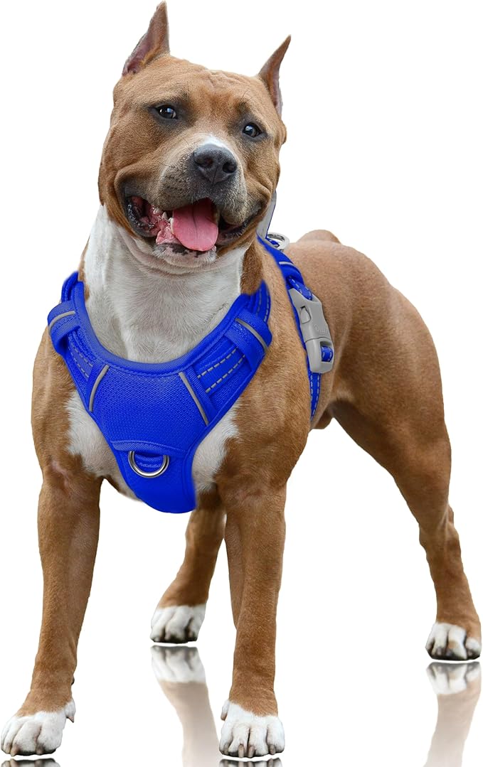 BARKBAY No Pull Dog Harness Large Reflective Dog Harness with Front Clip and Easy Control Handle for Walking Training Running with ID tag Pocket(Sapphire Blue,L) by BARKBAY