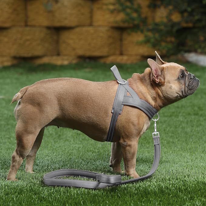 Plutus Pet No Pull Dog Harness for Large Dogs, Breathable Mesh Padded | Adjustable Reflective with Handle, Escape Proof, Quick Fit Pet Vest, Front Clip, for Training and Walking, Gray, L - Image 5