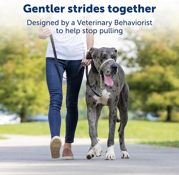PetSafe Gentle Leader No-Pull Dog Headcollar - The Ultimate Solution to Pulling - Redirects Your Dog's Pulling for Easier Walks - Helps You Regain Control - Large, Charcoal (Pack of 6) - Image 2