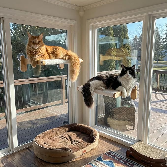 Cat Window Perch with Bird Feeder – Foldable Hammock, Strong Suction Cups for Indoor Cats (Nature-2) - Image 3
