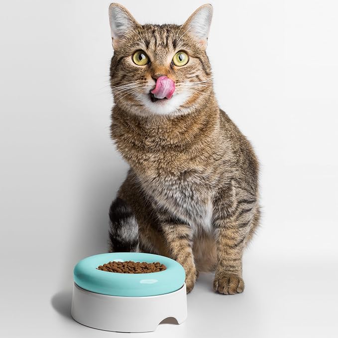 CatGuru Cat Food Bowl, Ceramic Bowls for Indoor Cats, No Spill Cat Feeding Bowl, Whisker Stress Free Kitten Bowls, Non Skin Pet Bowls for Food and Water (Torus - Set of Two, Aruba) - Image 6