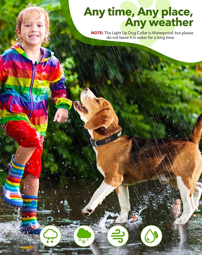 Weesiber Light Up Dog Collar - Reflective LED Dog Collar Rechargeable Glow in The Dark Pet Collar, Safety Doggie Lights for Night Walking(Green, S) - Image 7
