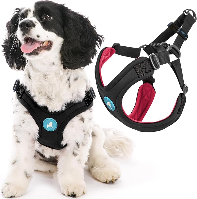 Gooby Escape Free Sport Dog Harness, Choke-Free, Black, Small | Patented escape-free frame; Reduces choking; 4-point adjustment; Soft neoprene padding; Durable webbed straps by Gooby