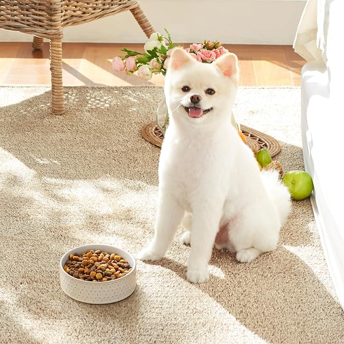 MALACASA Ceramic Dog Food Bowl, Water Dish for Small Breeds, 1.5 Cups | Honeycomb Pattern, Ceramic Pet Bowl, Food and Water Dish, Dishwasher and Microwave Safe, for Small Dogs and Cats - Image 8