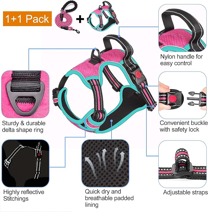 tobeDRI No Pull Dog Harness Adjustable Reflective Oxford Easy Control Medium Large Dog Harness with A Free Heavy Duty 5ft Dog Leash, Pink/Blue, L - Image 3