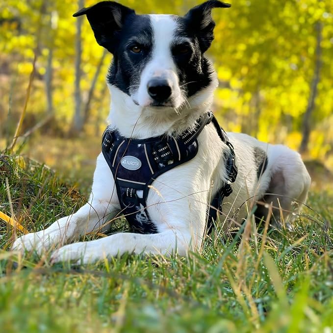 AUROTH Tactical Dog Harness for Small Medium Large Dogs No Pull Adjustable Pet Harness Reflective K9 Working Training Easy Control Pet Vest Military Service Dog Harnesses (XL, Black Ink) | Easy Control Handle, Adjustable, Reflective, Military K9, for D... - Image 6
