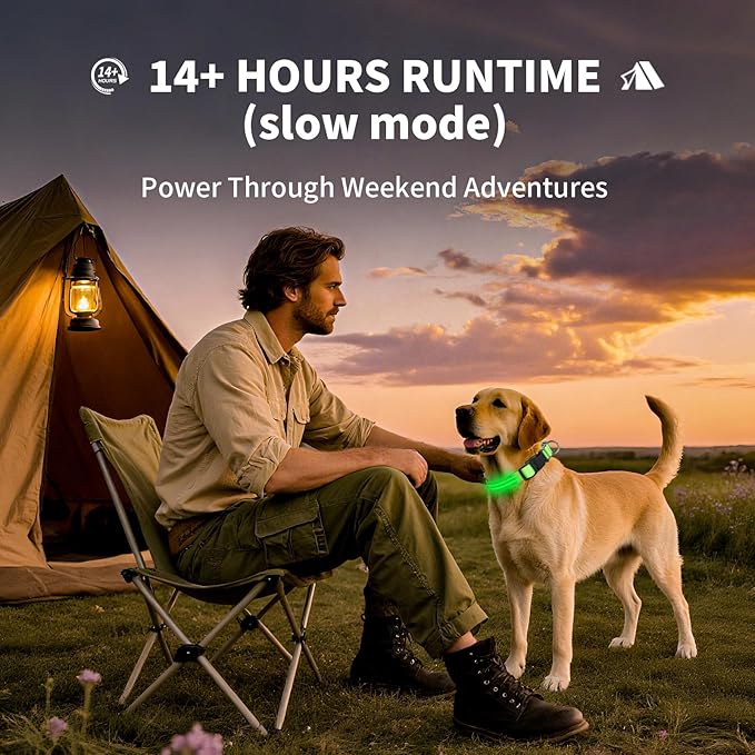Light Up Dog Collar for Night Walking, Reflective LED Collar(Orange, XL) | Bright Safety Glow in the Dark, Adjustable Comfort Fit, Waterproof, Long Runtime, Easy USB-C Charging - Image 7
