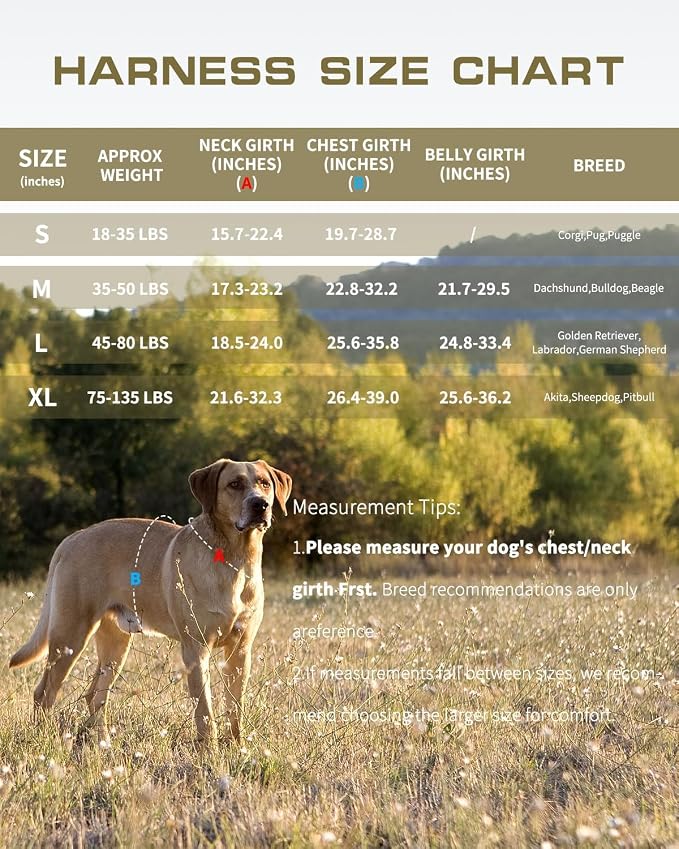 Dog Harness, Tactical No Pull for Small Sized Dog with Handle | Breathable Soft Padded, Adjustable, Reflective, Molle System, Heavy Duty, No Choke for Walking Training, Desert Camo Small - Image 7