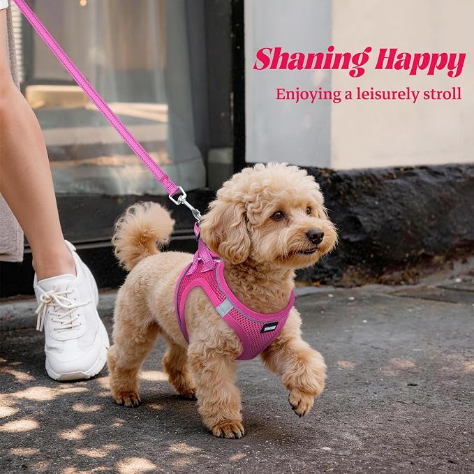 No Pull Dog Puppy Harness and Leash Set Reflective Mesh Vest Small - Image 6