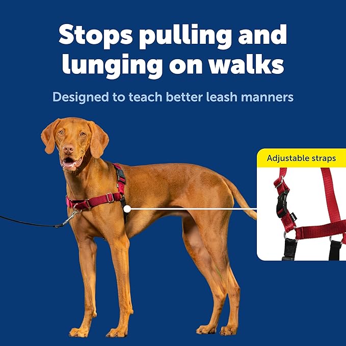 PetSafe Easy Walk Harness for Dogs - Pull-Free Walks - Patented Martingale Loop Design - Front Chest Leash Attachment - Comfort Straps - Breathable Harness Design - Medium, Red/Black | Patented Martingale Loop Gives Gradual Shoulder Pressure to Stop Pu... - Image 3