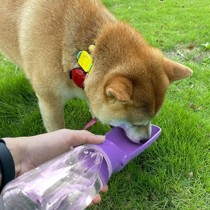 WePet Foldable Portable Dog Water Bottle Puppy Water Dispenser with Drinking Feeder, 12 OZ, High-Temperature Resistant Leak Proof for Pets Outdoor Walking, Hiking, Travel, Food Grade Plastic BPA Free - Image 7