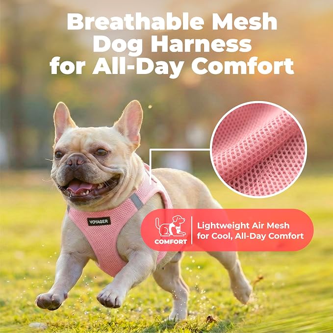 Voyager Step-in Air Dog Vest Harness - Pink, XXX-Small | 11 - 12" in Chest, Reflective Bands, All Weather Breathable Air Mesh, Cats Compatible, Lightweight, Fast Drying - Image 5