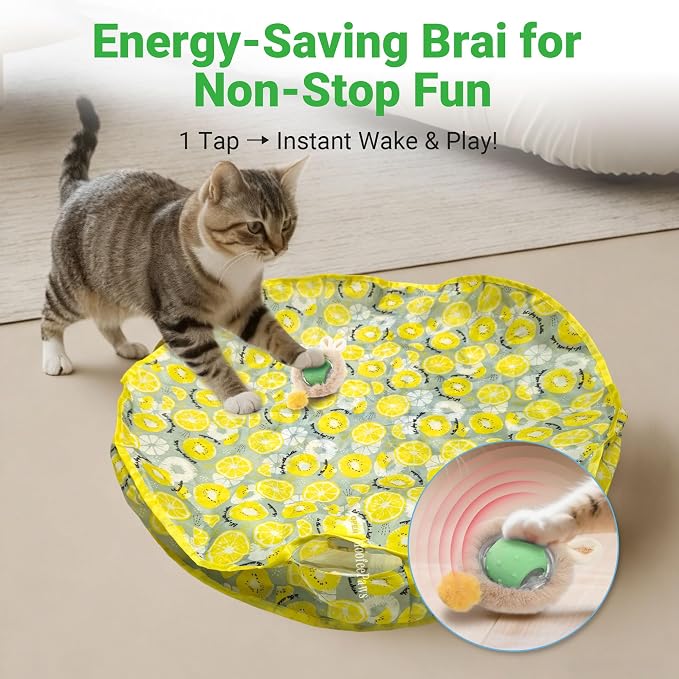 Cat Toys for Indoor Cats, Interactive Cat Toy for Adult Cats | Hide and Seek Play Mat for Bored Kittens, Automatic Rolling Ball with Real Bird Chirping, Motion Activated Rechargeable - Image 5