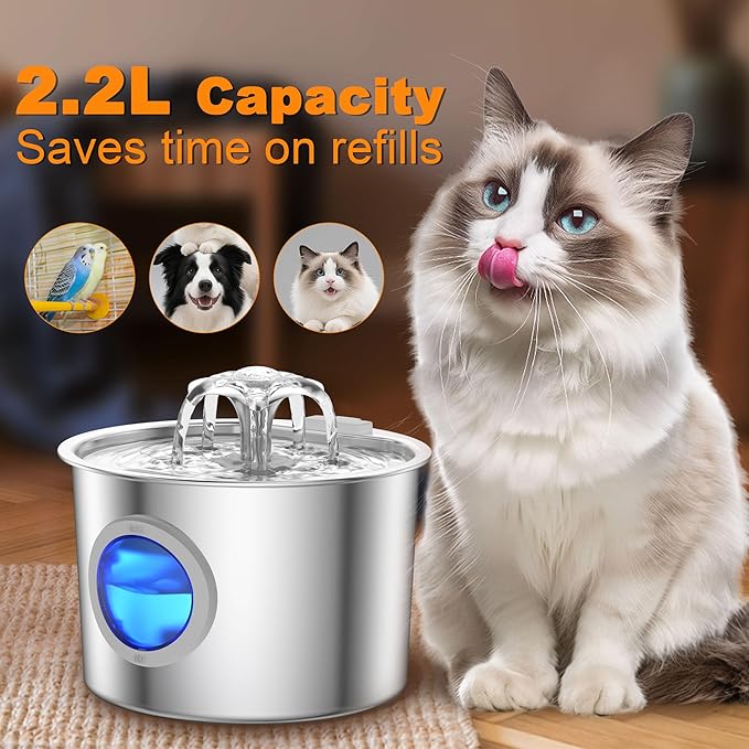 Cat Water Fountain Advanced 304 Stainless Steel 2.2L/74oz with 3-Pack Replaceable Filters, Detachable Tank, Easy to Clean, Automatic Pet Fountain Quiet Cats Water Dispenser, Dogs - Image 3