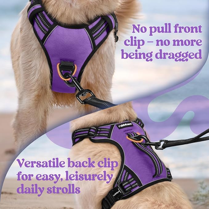 rabbitgoo Large Dog Harness, Easy Wear with 3 Buckles and Lift Handle | No Pull with Front Clip for Walking, Adjustable Soft Padded, Reflective, Easy Control, Purple, Large - Image 6