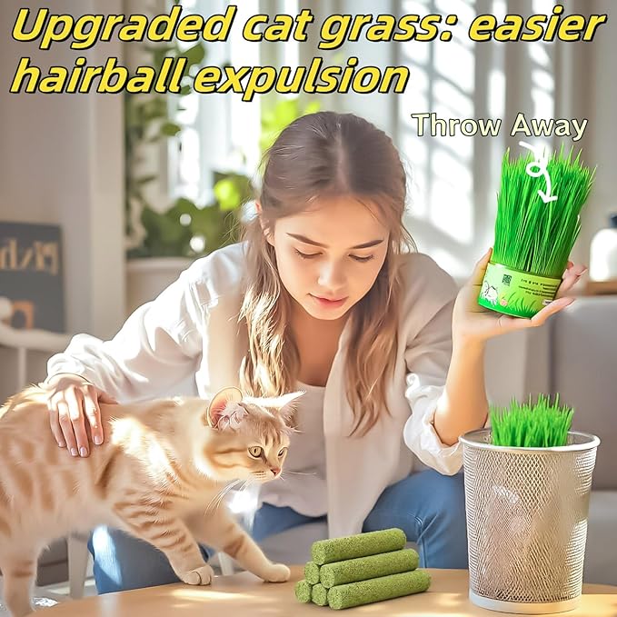 17PK Cat Grass Chew Sticks Freeze-Dried Dental Hairball Kitten Toy - Image 2