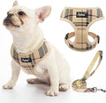 PUPTECK Small Dog Harness and Leash Set No Pull for XS XXS Sized Dogs Puppy | Escape Proof No Choke Pet Cat Adjustable Soft Padded Walking Vest by PUPTECK