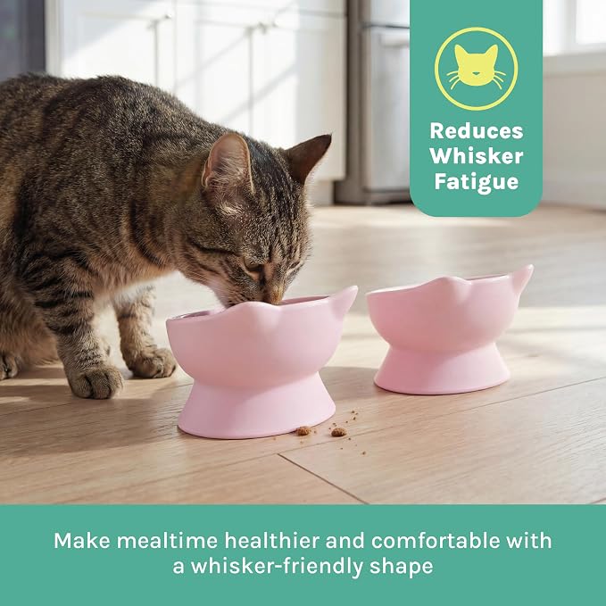 Kitty City Elevated Cat Bowls (Set of 2), Whisker-Friendly Raised Cat Food & Water Dishes, Modern Pedestal Design, Dishwasher Safe, 6.5 oz Each – Pink - Image 3