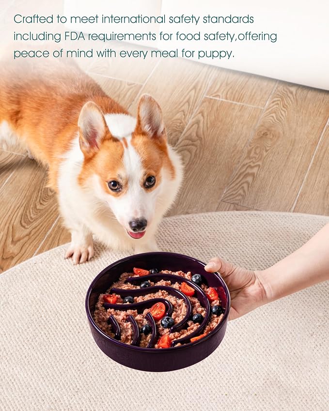 vancasso Slow Feeder Dog Bowl, 1.5 Cup Ceramic Slow Feeding Food Dish for Small and Medium Breed, Puzzle Dog Food Bowl for Fast Eater, Dark Purple - Image 6