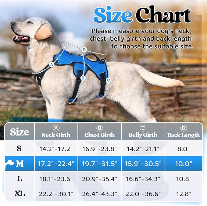 rabbitgoo Escape Proof Dog Harness for Medium, No Pull with Lift Handle | No Escape, Full Soft Padded, Reflective Adjustable Vest, Leash Clip for Walking Hiking Training, Blue, Medium - Image 2