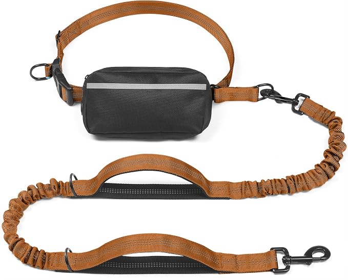 Hands Free Dog Leash with Zipper Pouch, Large, 25-120 lbs, Brown | Waist Leash, Dual Padded Handles, Shock-Absorbing Bungee, Adjustable Waist Belt, Walking and Running by iYoShop