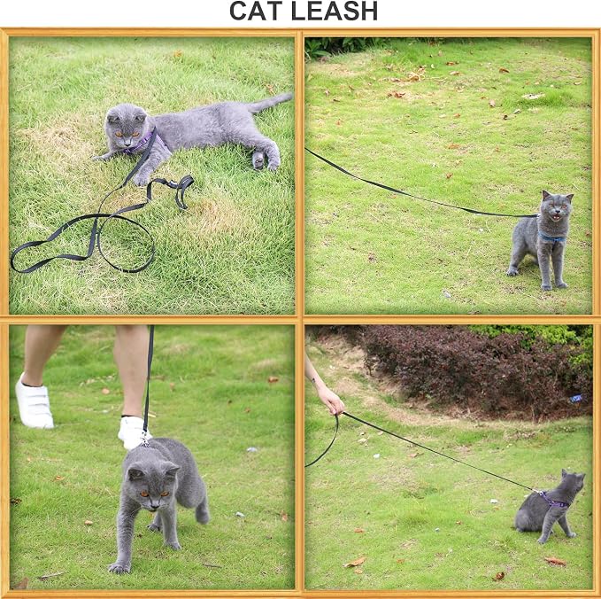 AMAGOOD 6 FT Cat Leash, Strong and Durable Traditional Style Leash with Easy to Use Collar Hook,Cat Lead Great for Cats (3/8 in x 6 ft,Black and Blue(2-Pack)) - Image 7
