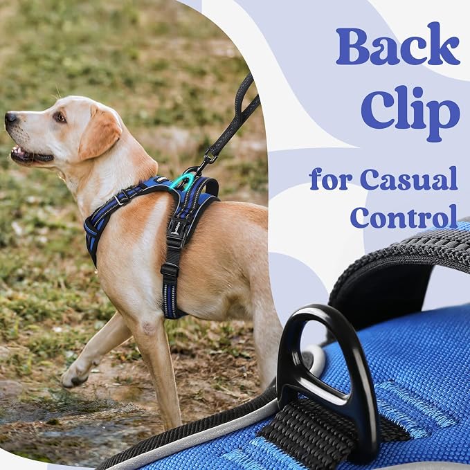rabbitgoo Dog Harness for Large, Updated Easy On & Off with 3 Buckles | No Pull No Choke, Walking with 2 Clips and Handle, Adjustable Soft Reflective, Blue, X-large - Image 5