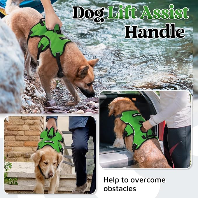 rabbitgoo Escape Proof Dog Harness for Medium, No Pull with Lift Handle | No Escape, Full Soft Padded, Reflective Adjustable Vest, Leash Clip for Walking Hiking Training, Green, Medium - Image 4