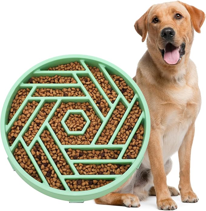 WHIPPY Slow Feeder Dog Bowl, Puzzle Maze Design to Slow Down Eating, 3-Cup Capacity, Anti-Gulping Food Bowl for Medium & Large Dogs,Mint Green by WHIPPY